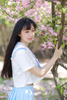 与凤行电视剧免费观看